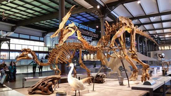 Museo de las Ciencias Naturales